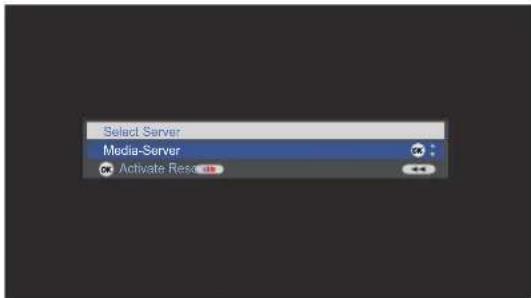 LOEWE Network Mediaplayer 1000 - Select Server - 1