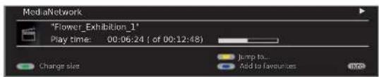 LOEWE MediaNetwork 2.0 - Video status bar - 2