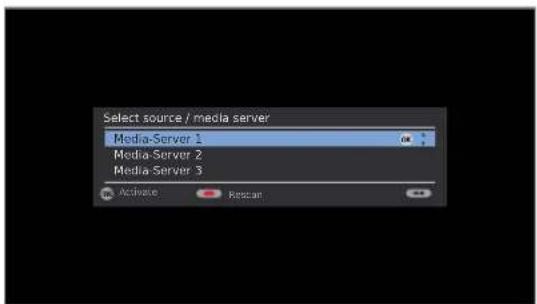 LOEWE MediaNetwork 2.0 - Select Server - 1