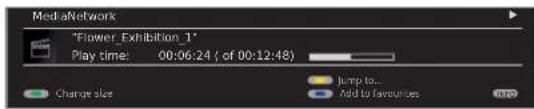LOEWE MediaNetwork 2.0 - Video status bar - 2