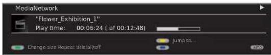 LOEWE MediaNetwork 2.0 - Video status bar - 2