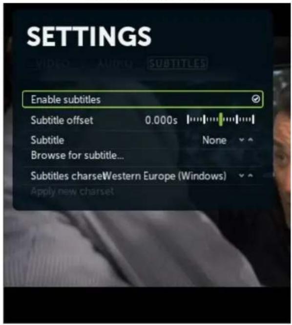 SETTINGS Enable subtitles Subtitle offset 0.000s Subtitle None Browse for subtitle... Subtitles charseWestern Europe (Windows) Apply new charset