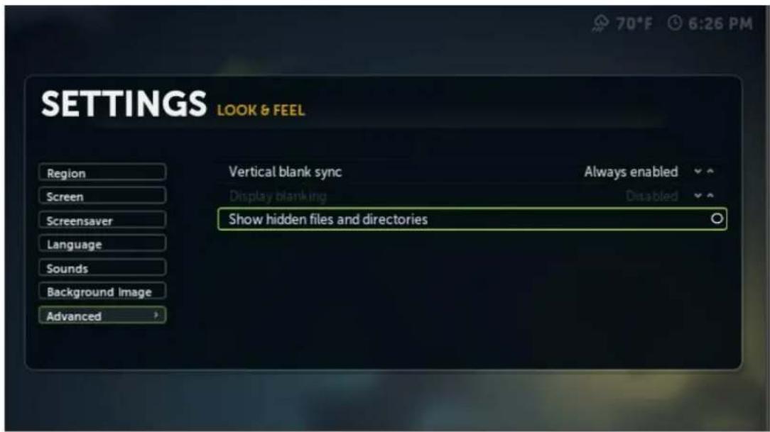 SETTINGS LOOK & FEEL Region Screen Screensaver Language Sounds Background Image Advanced Vertical blank sync Display blanking Show hidden files and directories Always enabled Disabled