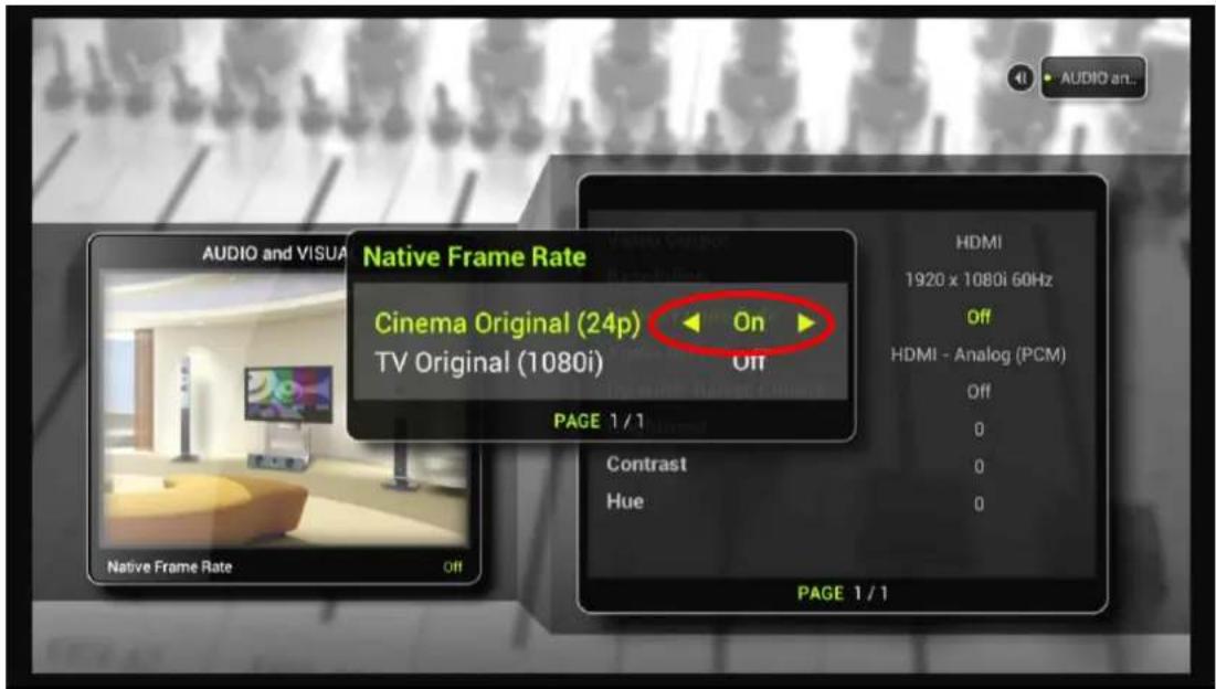 TizzBird Wi-Fi 1080p - Setting Up Audio & Visual - 1