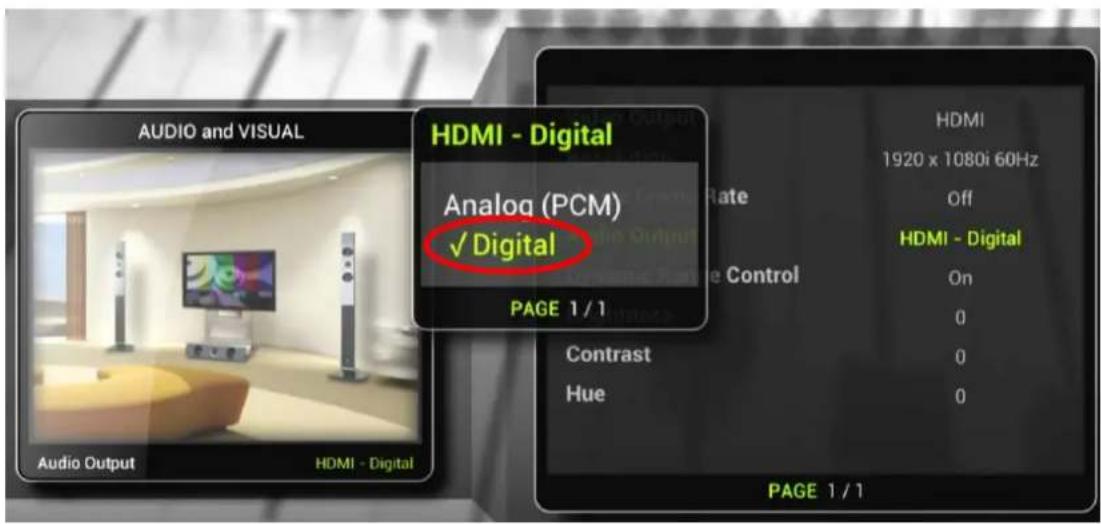 TizzBird Wi-Fi 1080p - Setting Up Audio & Visual - 2