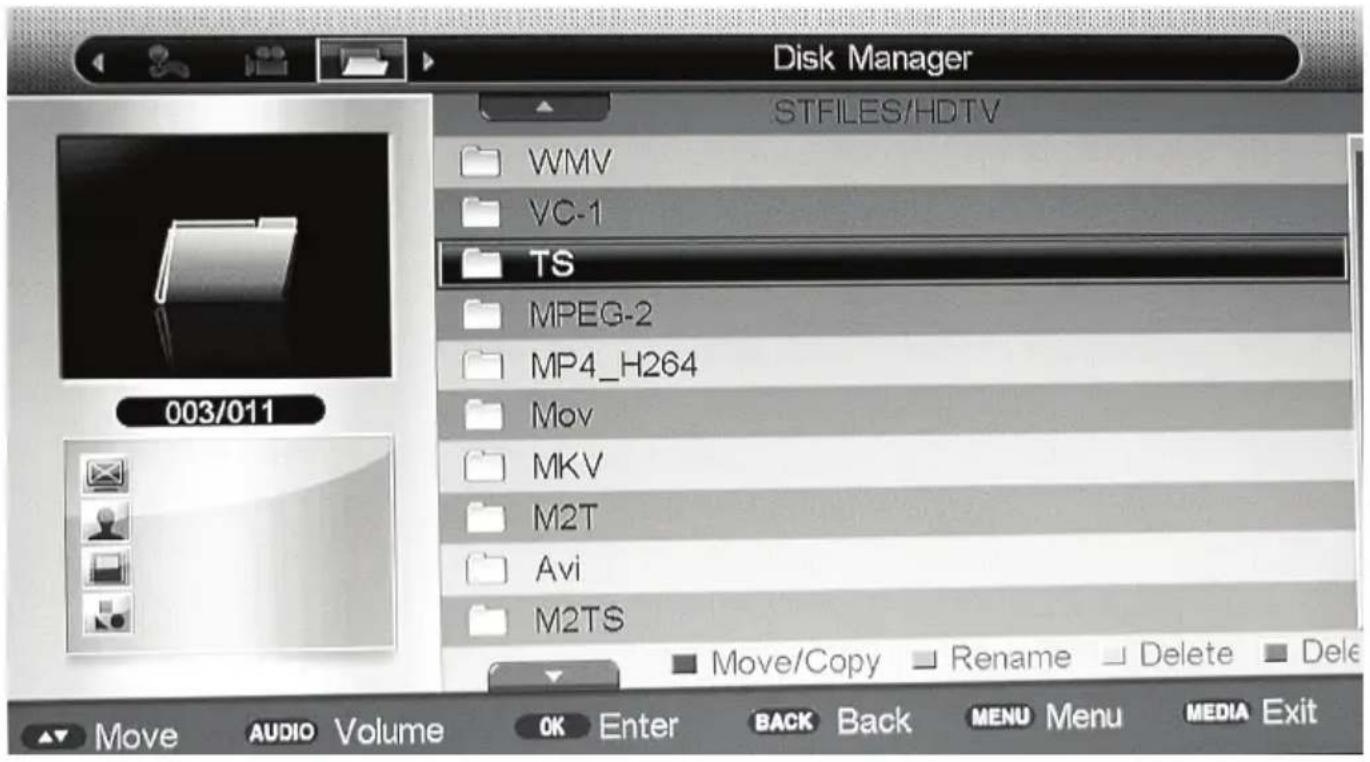 Disk Manager STFILES/HDTV WMV VC-1 TS MPEG-2 MP4_H264 Mov MKV M2T Avi M2TS 003/011 Move Copy Rename Delete Delete ▲ Move AUDIO Volume OK Enter BACK Back MENU Menu MEDIA Exit