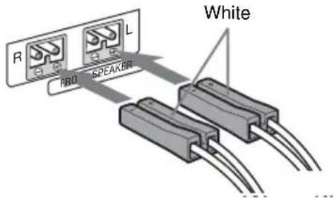 R S B L PRO SPEAKER White