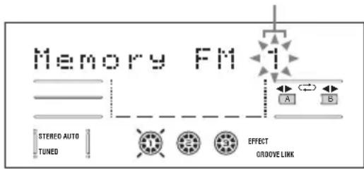 Memory FM STEREO AUTO TUNED A B EFFECT OROOVE LINK