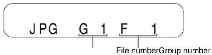 JPG G 1 F 1 File numberGroup number