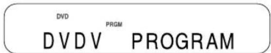 DVD PRGM DVDV PROGRAM