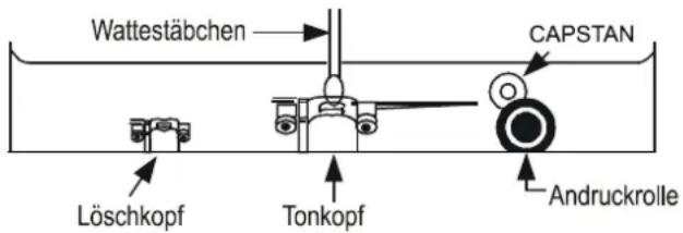 Wattestäbchen CAPSTAN Löschkopf Tonkopf Andruckrolle