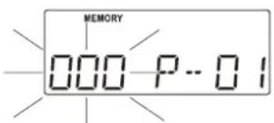 MEMORY 000 P-01