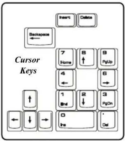 Insert Delete Backspace 7 Home 8 ↑ 9 PgUp 4 ← 6 → 1 Bnd 2 ↓ 3 PgOn 0 Ins Del Cursor Keys