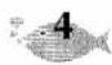 BROTHER P-Touch ST-5 - LANGUAGE MASTER KEY - 4