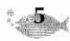 BROTHER P-Touch ST-5 - LANGUAGE MASTER KEY - 5