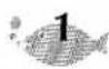 BROTHER P-Touch ST-5 - SPANISH ACCENTED LETTER KEY - 1