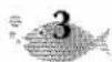 BROTHER P-Touch ST-5 - FRENCH ACCENTED LETTER KEY - 4
