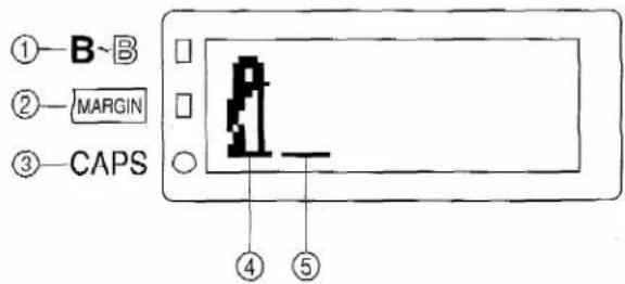 ①—B~B ②—MARGIN ③—CAPS ④ ⑤