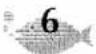 BROTHER P-Touch ST-5 - PRINT THE LABEL - 3