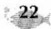 BROTHER P-Touch ST-5 - PRINT THE LABEL - 22