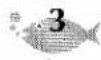 BROTHER P-Touch ST-5 - LANGUAGE MASTER KEY - 3