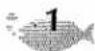 BROTHER P-Touch ST-5 - TYPE IN YOUR NAME - 1