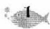 BROTHER P-Touch ST-5 - FONT KEY - 1