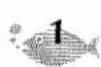 BROTHER P-Touch ST-5 - LANGUAGE MASTER KEY - 1