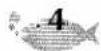 BROTHER P-Touch ST-5 - SECRET CODE KEY - 4