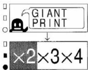 GIANT PRINT ×2×3×4