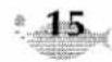 BROTHER P-Touch ST-5 - PRINT THE LABEL - 8