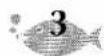 BROTHER P-Touch ST-5 - TYPE IN ONLY CAPITAL LETTERS - 5