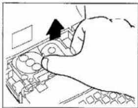 BROTHER P-Touch ST-5 - PRINT THE LABEL - 24