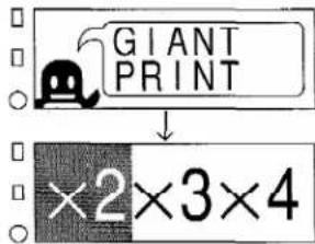 GIANT PRINT ×2×3×4
