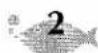 BROTHER P-Touch ST-5 - FRAME KEY - 2