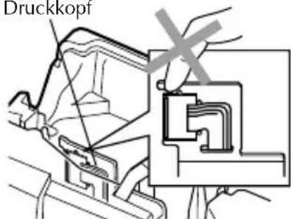 Druckkopt