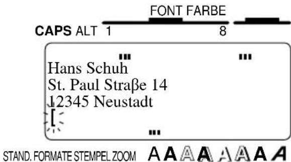 CAPS ALT 1 FONT FARBE 8 Hans Schuh St. Paul Straße 14 12345 Neustadt [ ] ... STAND. FORMATE STEMPEL ZOOM A A A A A A A A