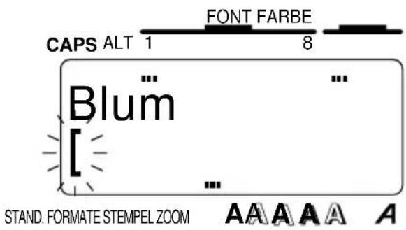 CAPS ALT 1 FONT FARBE 8 Blum ... ... ... STAND. FORMATE STEMPEL ZOOM A A A A A