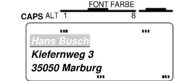 CAPS ALT 1 FONT FARBE 8 Hans Busch Kiefernweg 3 35050 Marburg