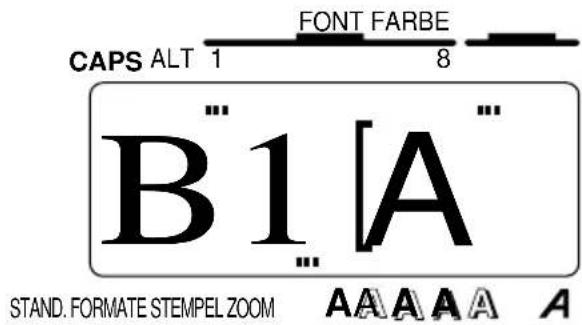 CAPS ALT 1 FONT FARBE 8 B1[A] STAND. FORMATE STEMPEL ZOOM A A A A A