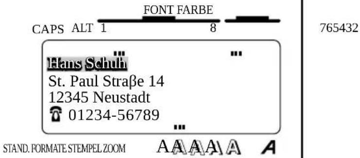 CAPS ALT 1 FONT FARBE 8 765432 Hans Schuh St. Paul Straße 14 12345 Neustadt 01234-56789 ... STAND. FORMATE STEMPEL ZOOM A A A A A
