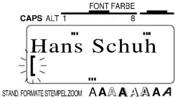 CAPS ALT 1 FONT FARBE 8 Hans Schuh STAND. FORMATE STEMPEL ZOOM A A A A A A A A