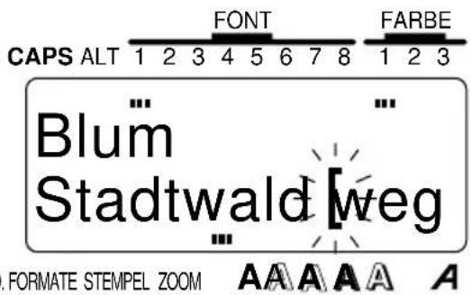 CAPS ALT 1 2 3 4 5 6 7 8 FONT FARBE Blüm Stadtwald weg FORMATE STEMPEL ZOOM A A A A A