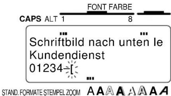 CAPS ALT 1 FONT FARBE 8 ... Schriftbild nach unten le Kundendienst 01234-[-] ... STAND. FORMATE STEMPEL ZOOM A A A A A A A A