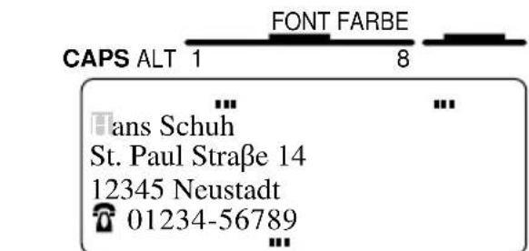 FONT FARBE CAPS ALT 1 8 Hans Schuh St. Paul Straße 14 12345 Neustadt 01234-56789
