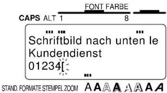 CAPS ALT 1 FONT FARBE 8 ... ... Schriftbild nach unten le Kundendienst 01234[· ... STAND. FORMATE STEMPEL ZOOM A A A A A A A A