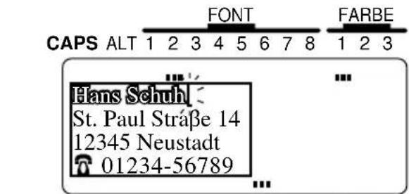 CAPS ALT 1 2 3 4 5 6 7 8 FONT FARBE Hans Schuh St. Paul Straße 14 12345 Neustadt 01234-56789
