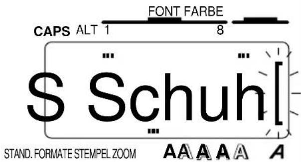 CAPS ALT 1 FONT FARBE 8 S Schuh[ ] STAND. FORMATE STEMPEL ZOOM A A A A A