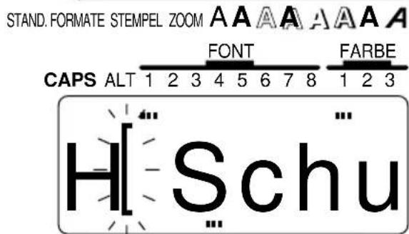 STAND. FORMATE STEMPEL ZOOM A A A A A A A CAPS ALT 1 2 3 4 5 6 7 8 FONT FARBE 1 2 3 H Schu