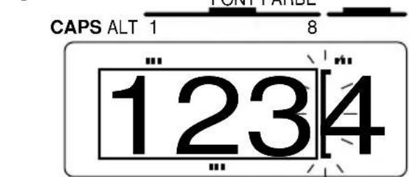 CAPS ALT 1 8 1234
